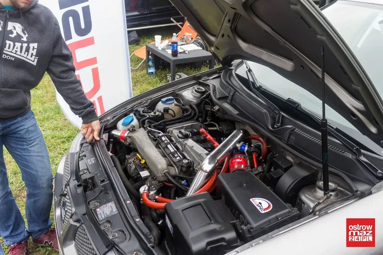 Gratka dla fanów motoryzacji. Piknik z WOR Team (zdjęcia, wideo)
