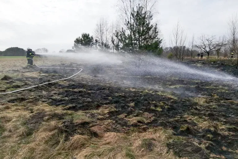 Pożar traw w Rząśniku Szlacheckim (zdjęcia)