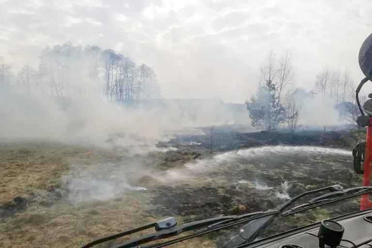 Pożar traw w Rząśniku Szlacheckim (zdjęcia)