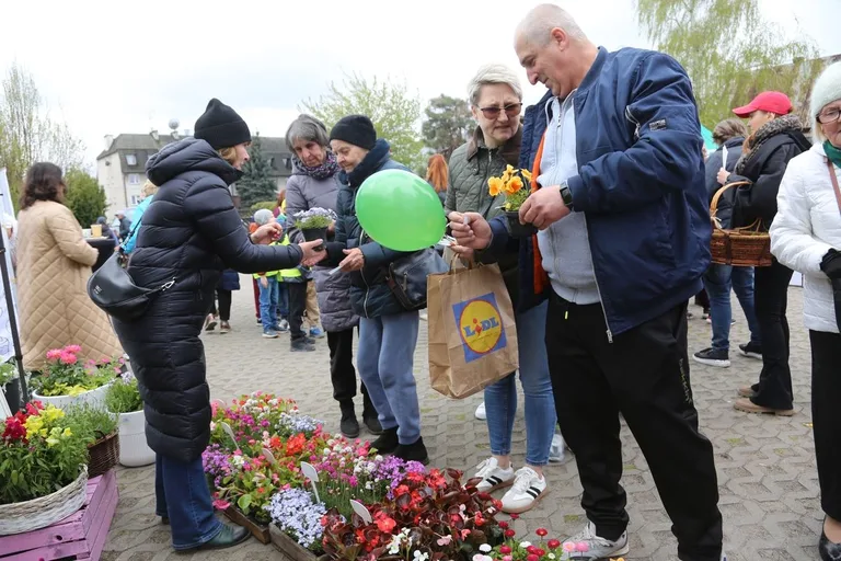 Przynieśli surowce wtórne, dostali rośliny. Nasza akcja: Piknik na zielono w Ostrowi Mazowieckiej. Zdjęcia, wideo