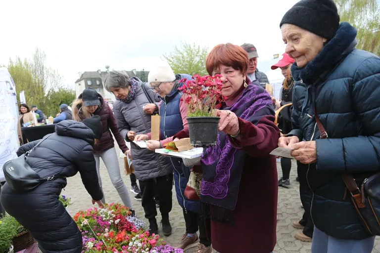 Przynieśli surowce wtórne, dostali rośliny. Nasza akcja: Piknik na zielono w Ostrowi Mazowieckiej. Zdjęcia, wideo