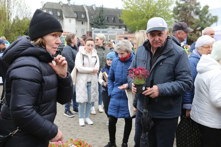 Przynieśli surowce wtórne, dostali rośliny. Nasza akcja: Piknik na zielono w Ostrowi Mazowieckiej. Zdjęcia, wideo