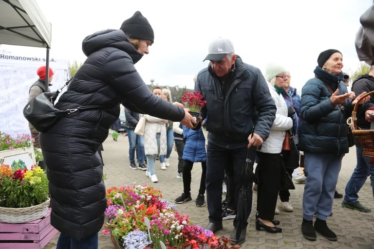 Przynieśli surowce wtórne, dostali rośliny. Nasza akcja: Piknik na zielono w Ostrowi Mazowieckiej. Zdjęcia, wideo