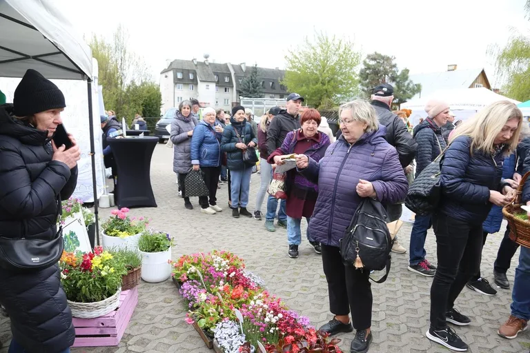 Przynieśli surowce wtórne, dostali rośliny. Nasza akcja: Piknik na zielono w Ostrowi Mazowieckiej. Zdjęcia, wideo