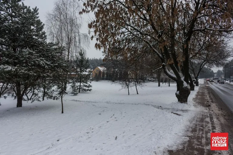 Zaśnieżona Ostrów Mazowiecka (zdjęcia)