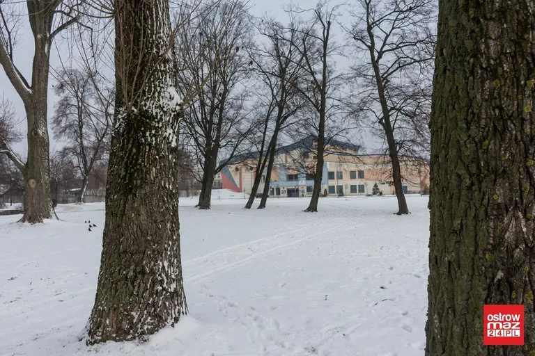 Zaśnieżona Ostrów Mazowiecka (zdjęcia)
