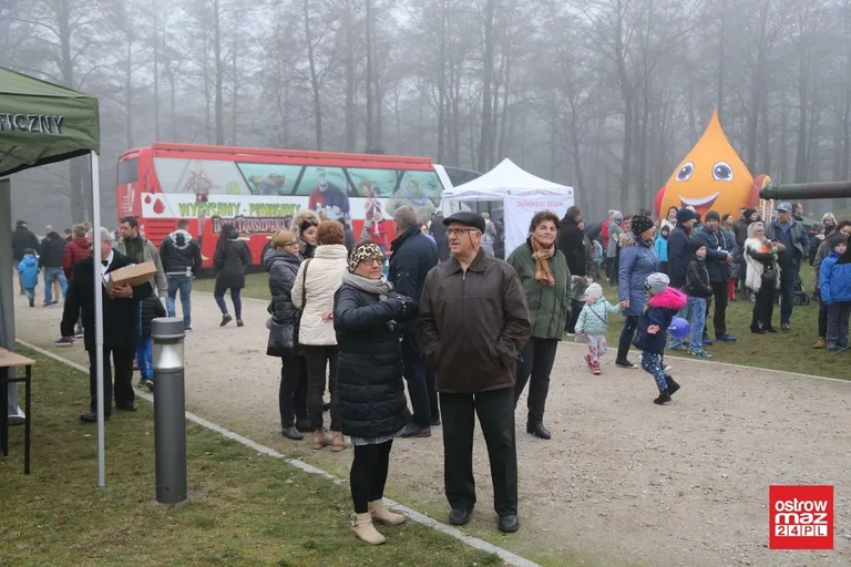 Piknik militarny dla niepodległej (zdjęcia, wideo)