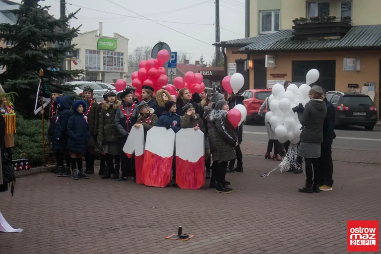 Miejskie obchody Święta Niepodległości (zdjęcia, wideo)