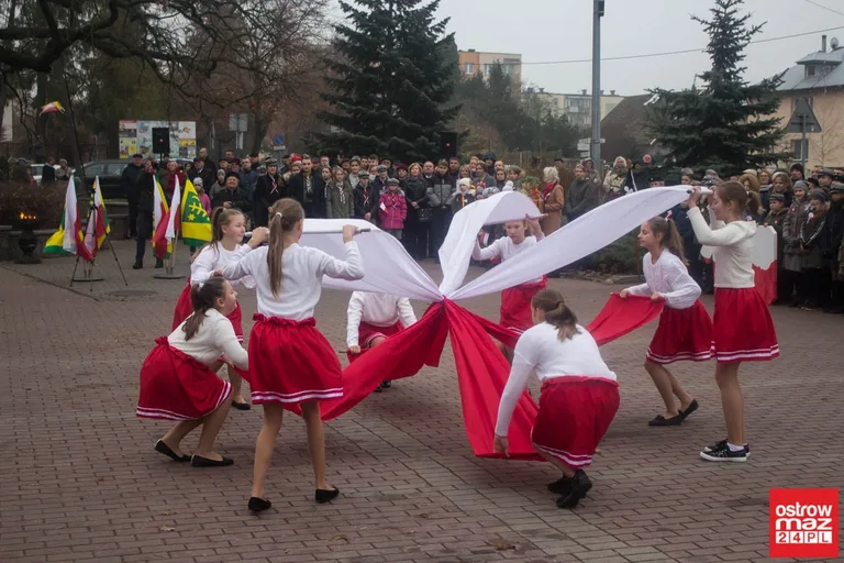 Miejskie obchody Święta Niepodległości (zdjęcia, wideo)
