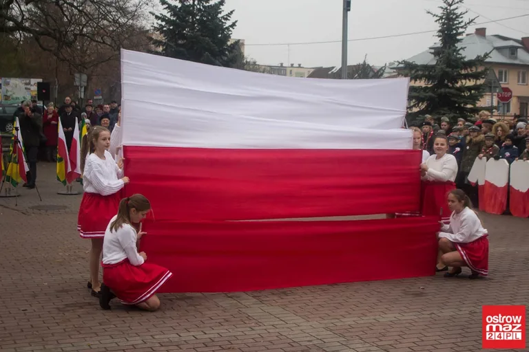 Miejskie obchody Święta Niepodległości (zdjęcia, wideo)