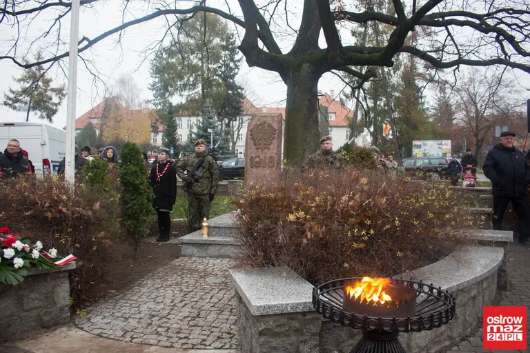 Miejskie obchody Święta Niepodległości (zdjęcia, wideo)