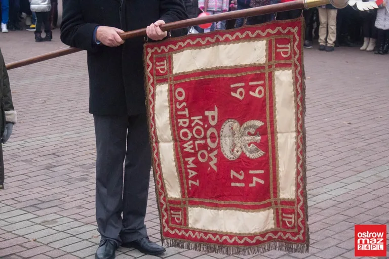 Miejskie obchody Święta Niepodległości (zdjęcia, wideo)
