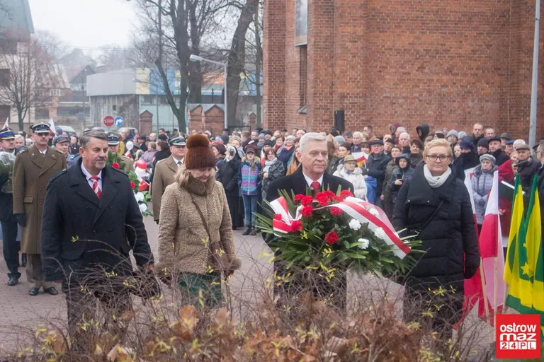 Miejskie obchody Święta Niepodległości (zdjęcia, wideo)