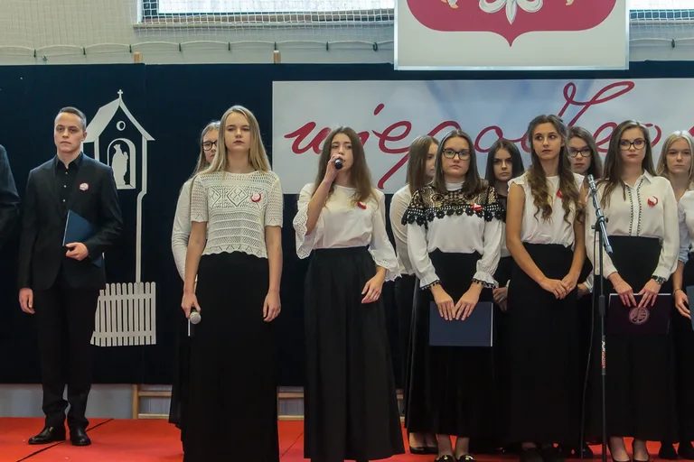 Powiatowe obchody Święta Niepodległości (zdjęcia, wideo)