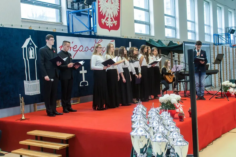 Powiatowe obchody Święta Niepodległości (zdjęcia, wideo)