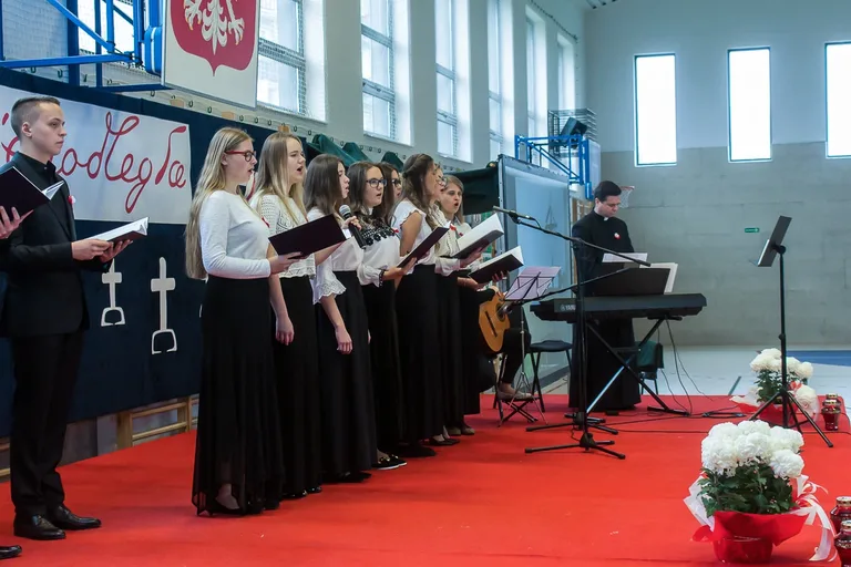 Powiatowe obchody Święta Niepodległości (zdjęcia, wideo)