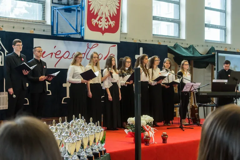 Powiatowe obchody Święta Niepodległości (zdjęcia, wideo)