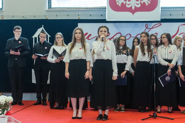 Powiatowe obchody Święta Niepodległości (zdjęcia, wideo)