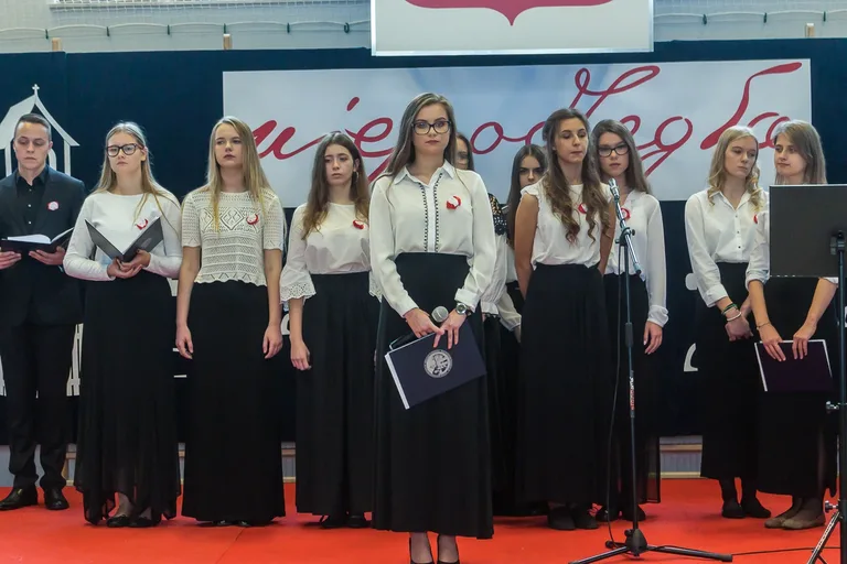 Powiatowe obchody Święta Niepodległości (zdjęcia, wideo)