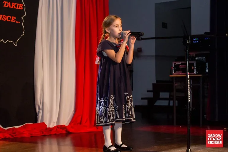 Festiwal pieśni i piosenki patriotycznej (lista laureatów, zdjęcia, wideo)