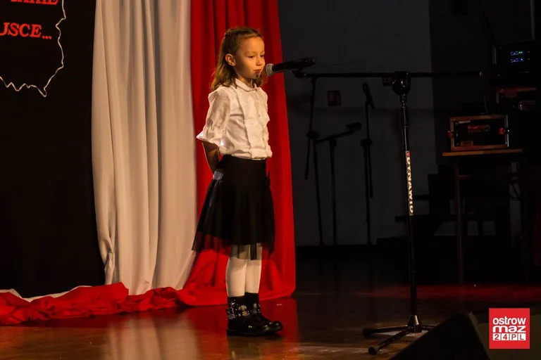 Festiwal pieśni i piosenki patriotycznej (lista laureatów, zdjęcia, wideo)