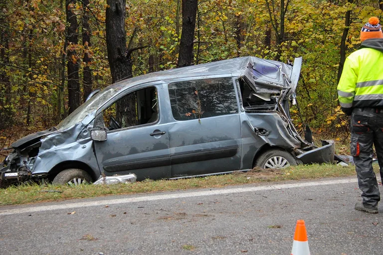 Citroenem uderzył w drzewo. Kierowca w szpitalu (zdjęcia)