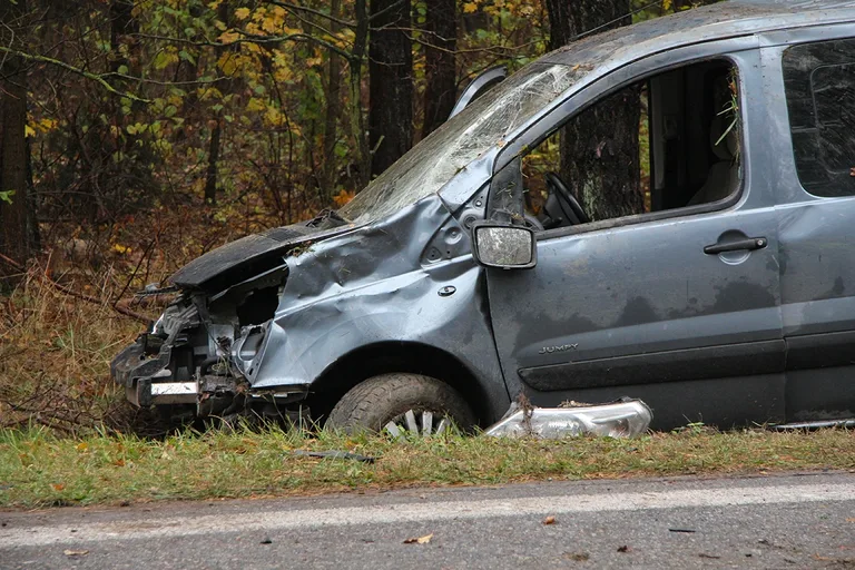 Citroenem uderzył w drzewo. Kierowca w szpitalu (zdjęcia)