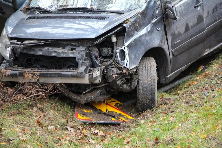 Citroenem uderzył w drzewo. Kierowca w szpitalu (zdjęcia)