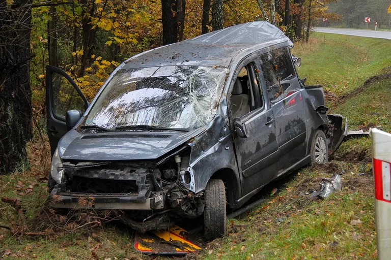 Citroenem uderzył w drzewo. Kierowca w szpitalu (zdjęcia)