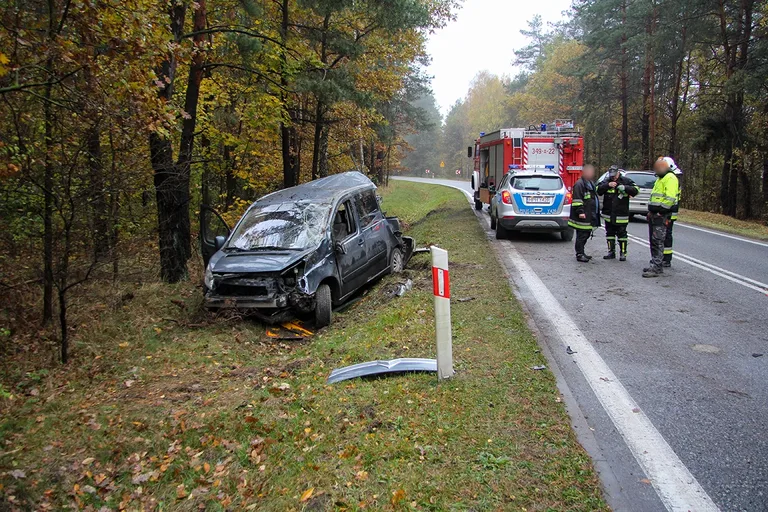 Citroenem uderzył w drzewo. Kierowca w szpitalu (zdjęcia)