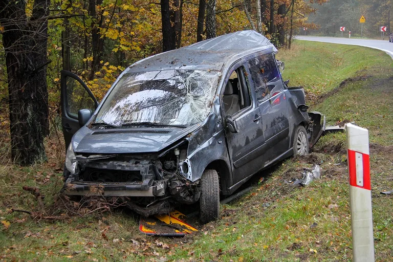 Citroenem uderzył w drzewo. Kierowca w szpitalu (zdjęcia)