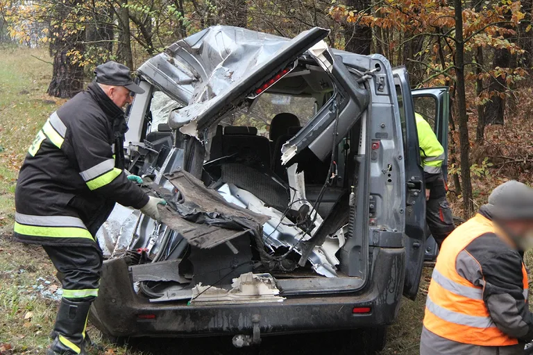 Citroenem uderzył w drzewo. Kierowca w szpitalu (zdjęcia)