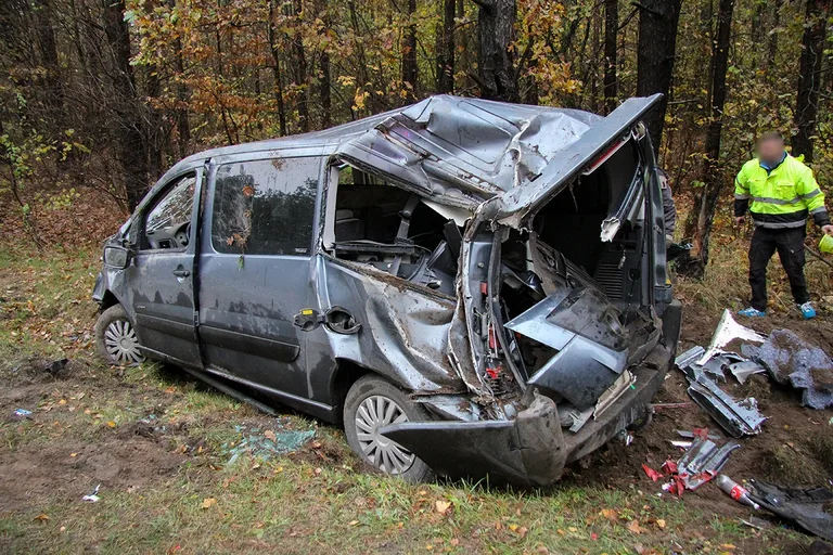 Citroenem uderzył w drzewo. Kierowca w szpitalu (zdjęcia)