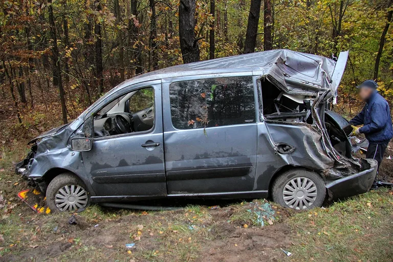 Citroenem uderzył w drzewo. Kierowca w szpitalu (zdjęcia)
