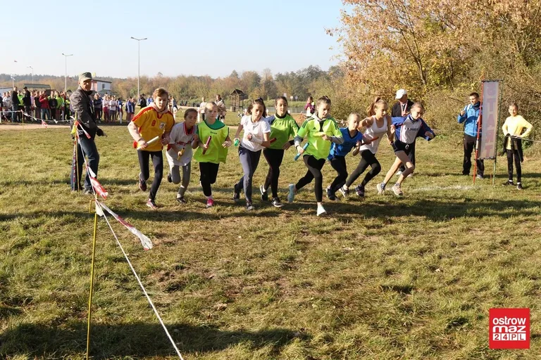 Przełajowe zmagania o medale (zdjęcia, wideo)