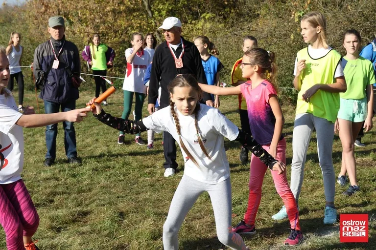 Przełajowe zmagania o medale (zdjęcia, wideo)