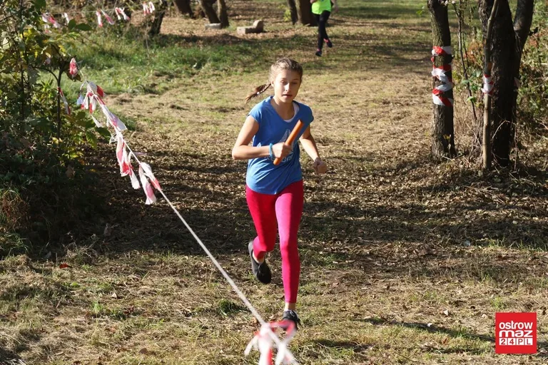 Przełajowe zmagania o medale (zdjęcia, wideo)