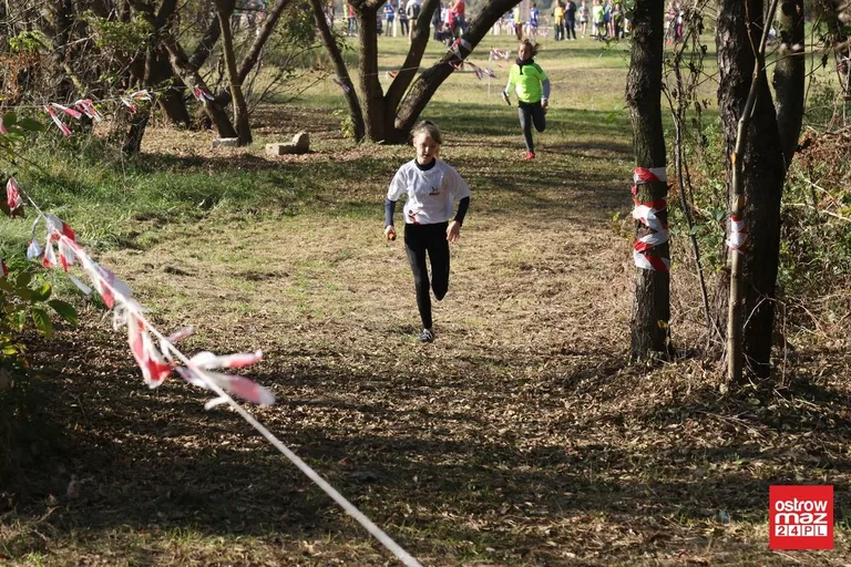 Przełajowe zmagania o medale (zdjęcia, wideo)