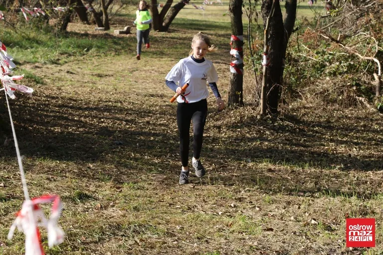 Przełajowe zmagania o medale (zdjęcia, wideo)