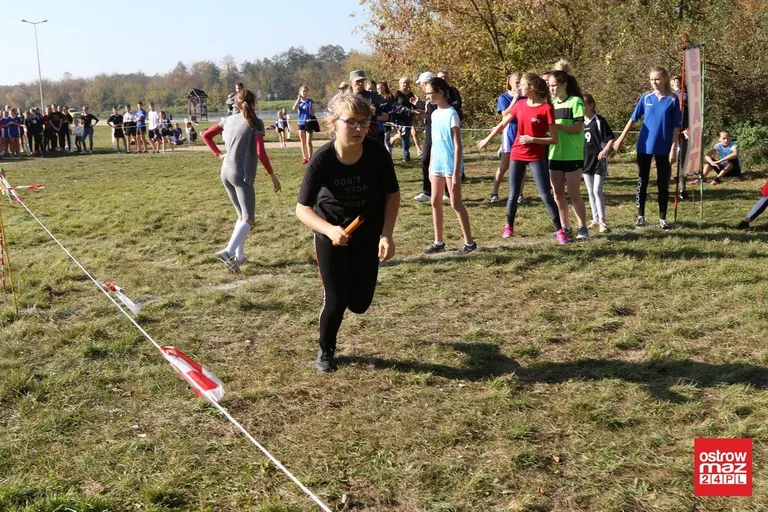 Przełajowe zmagania o medale (zdjęcia, wideo)