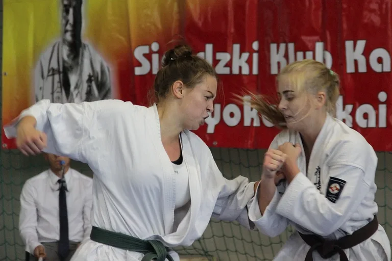 Cztery medale karateków w Sieradzu (zdjęcia)