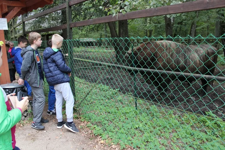 Uczniowie klas piątych na wycieczce w Białowieży (zdjęcia)