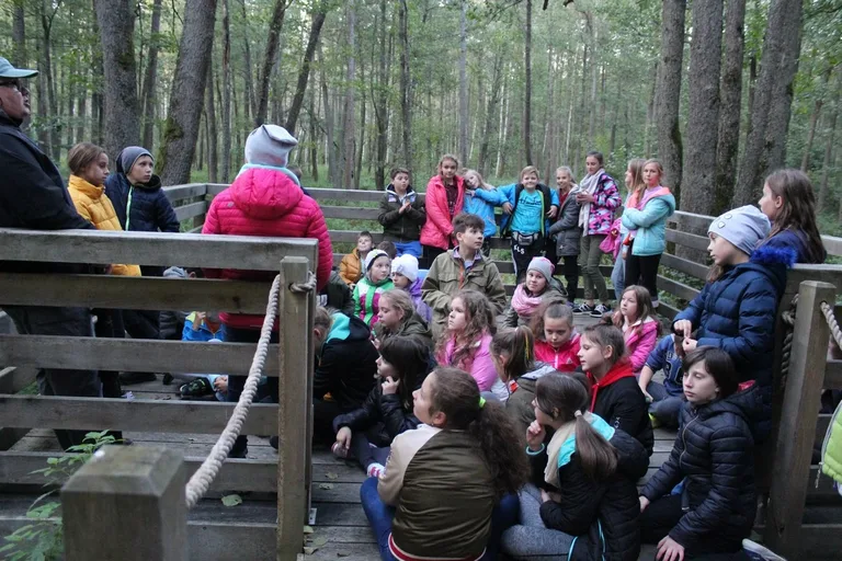 Uczniowie klas piątych na wycieczce w Białowieży (zdjęcia)