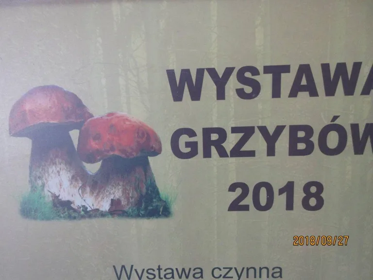 Wystawa grzybów w siedzibie PSSE (zdjęcia)