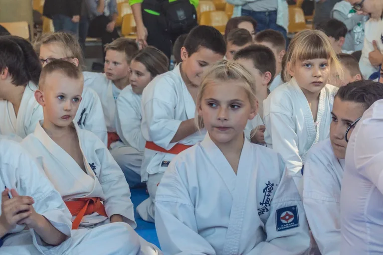 Setki karateków na macie (zdjęcia, wideo)