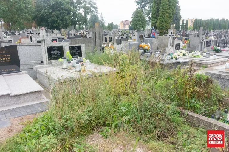 Skrzynka skarg: zaniedbany cmentarz parafialny (zdjęcia)