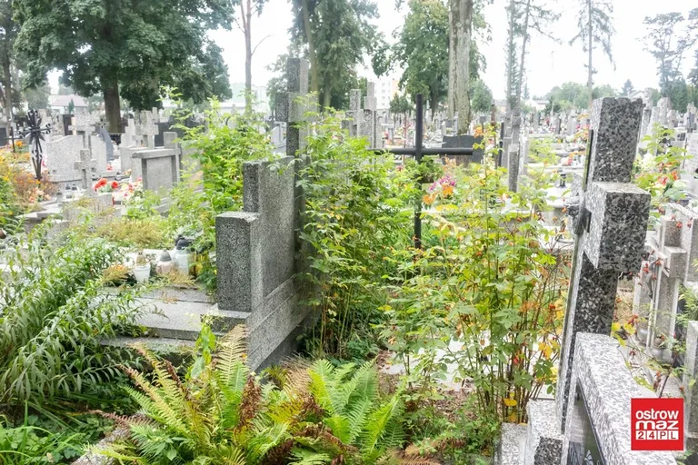 Skrzynka skarg: zaniedbany cmentarz parafialny (zdjęcia)