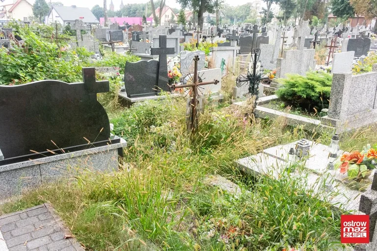 Skrzynka skarg: zaniedbany cmentarz parafialny (zdjęcia)