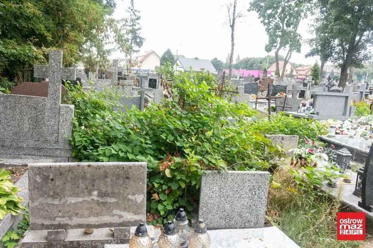 Skrzynka skarg: zaniedbany cmentarz parafialny (zdjęcia)