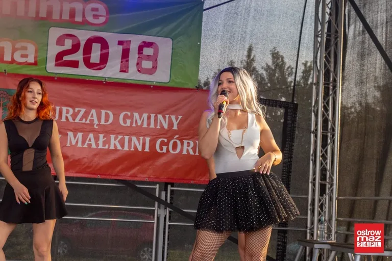 Dożynki gminne w Małkini Górnej (zdjęcia, wideo)